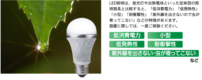 LED電球・シーリングライト